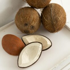 noix de coco en caoutchouc oli and carol