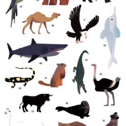 poster stickers animaux poppik