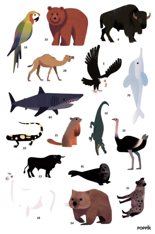 poster stickers animaux poppik