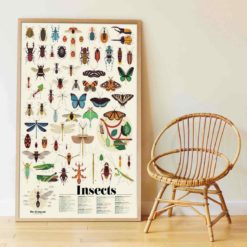poster stickers insectes poppik