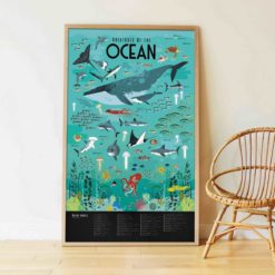 poster stickers océans poppik