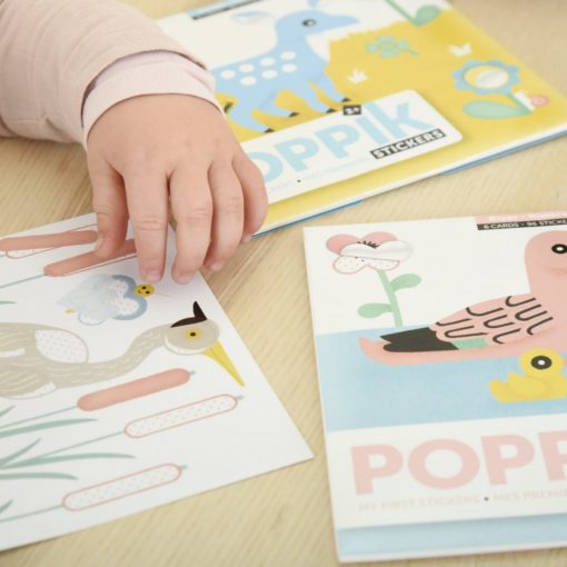 cartes gommettes rivière poppik