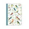 carnet oiseaux cartes d'art