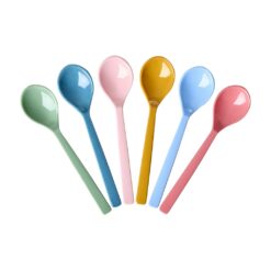 lot de petites cuillères multicolor rice