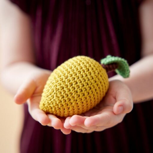 hochet crochet citron global affairs